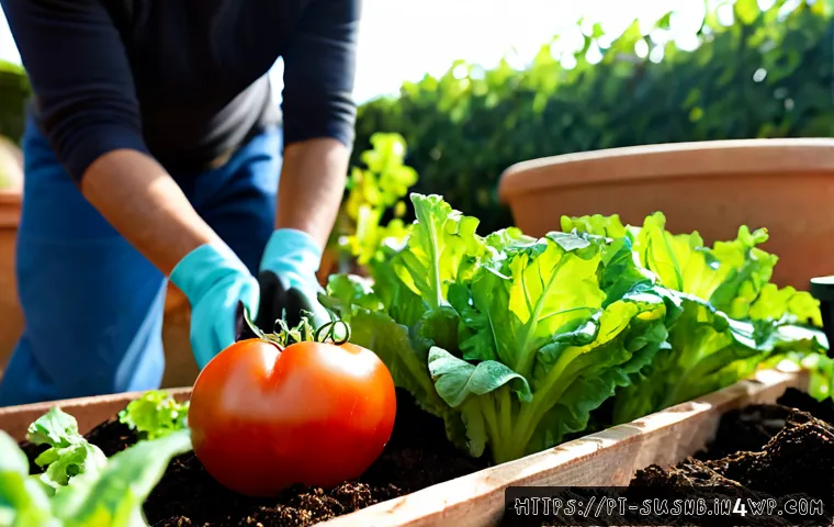 유기농 비료 사용 방법 - Photorealistic close-up of a Portuguese home gardener in a sunny backyard vegetable garden, wearing ...